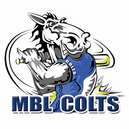 Macarthur Baseball League - Baseball NSW